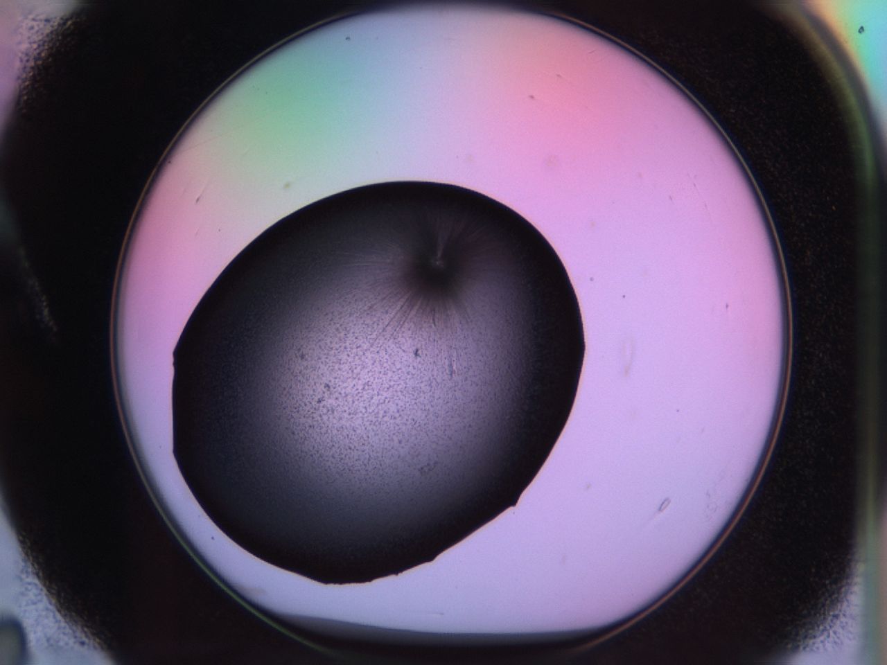 03m9_A4_ImagerDefaults_6.jpg