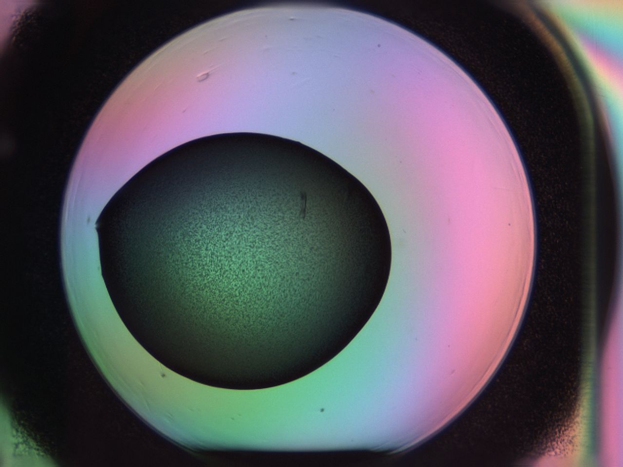 03m9_F6_ImagerDefaults_6.jpg