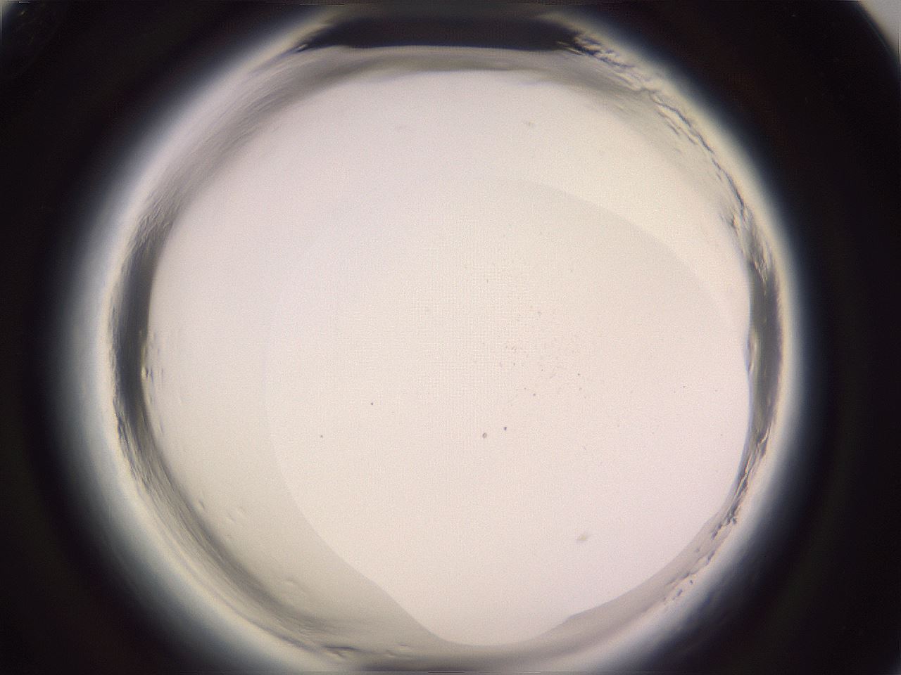 folderID647_plateID2647_batchID13509_wellNum93_profileID1_d1_r213891_ef.jpg