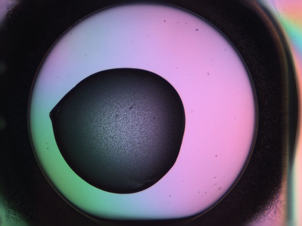 03ma_E6_ImagerDefaults_6.jpg