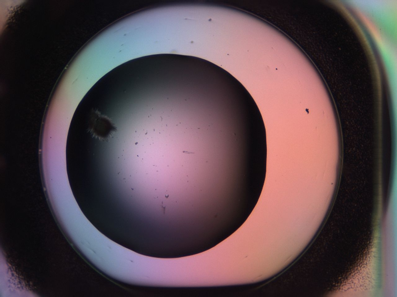 03ma_E8_ImagerDefaults_6.jpg