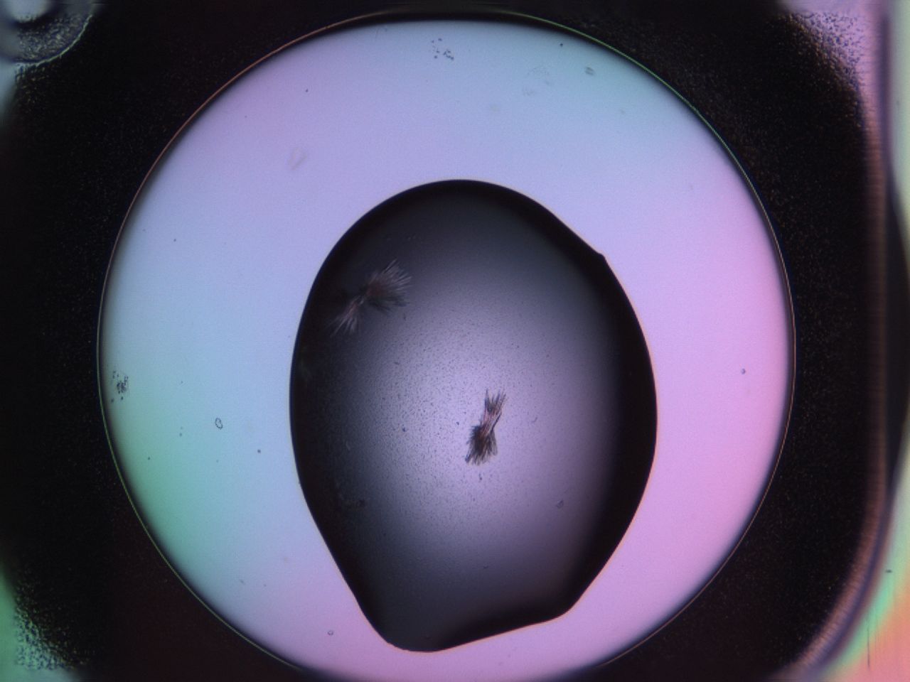 03ma_B10_ImagerDefaults_6.jpg