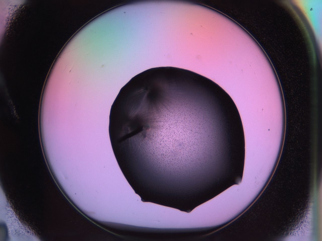 03ma_A4_ImagerDefaults_6.jpg