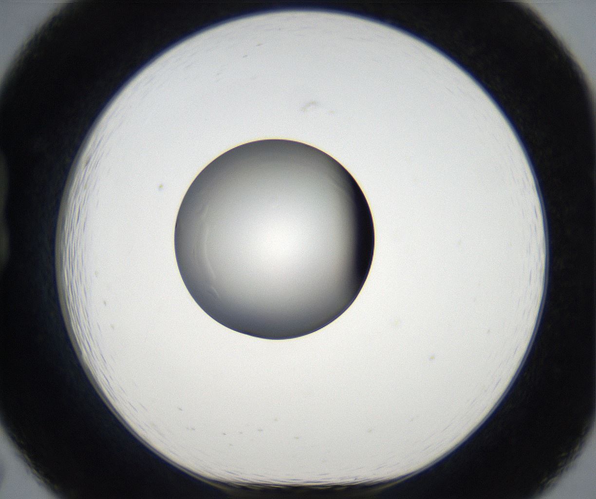 folderID65_plateID2065_batchID9500_wellNum19_profileID1_d1_r142144_ef.jpg