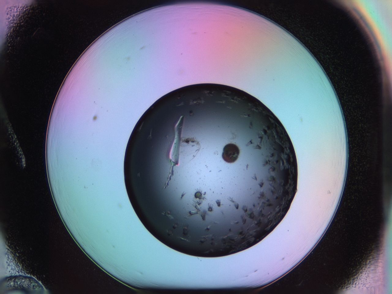03ma_A12_ImagerDefaults_6.jpg