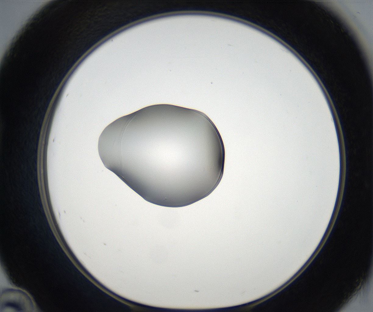 folderID65_plateID2065_batchID9500_wellNum46_profileID1_d1_r142216_ef.jpg