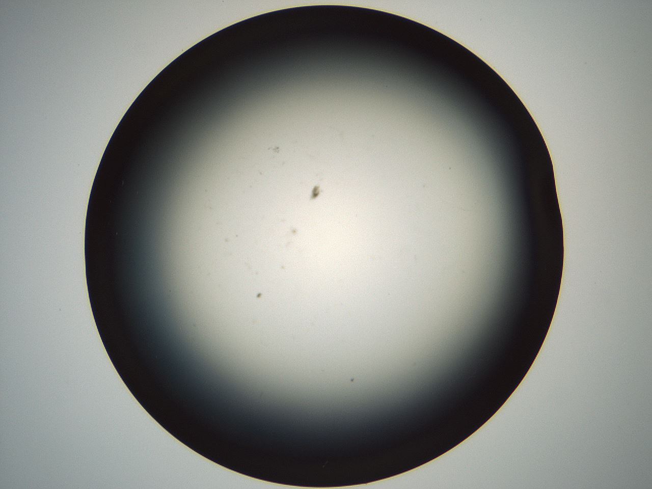 folderID663_plateID2663_batchID13641_wellNum5_profileID1_d1_r215765_ef.jpg