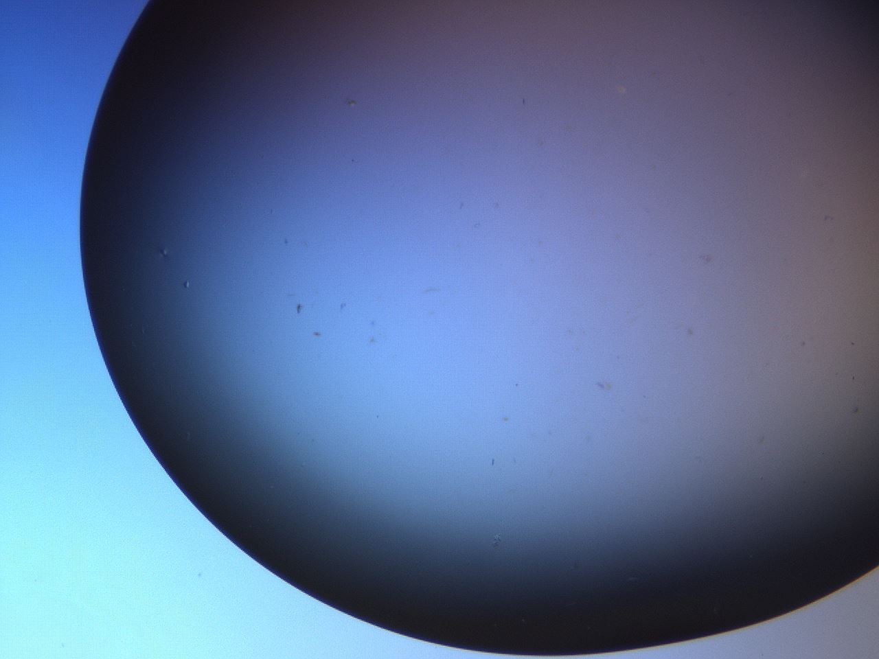 folderID664_plateID2664_batchID13643_wellNum15_profileID1_d1_r215845_ef.jpg