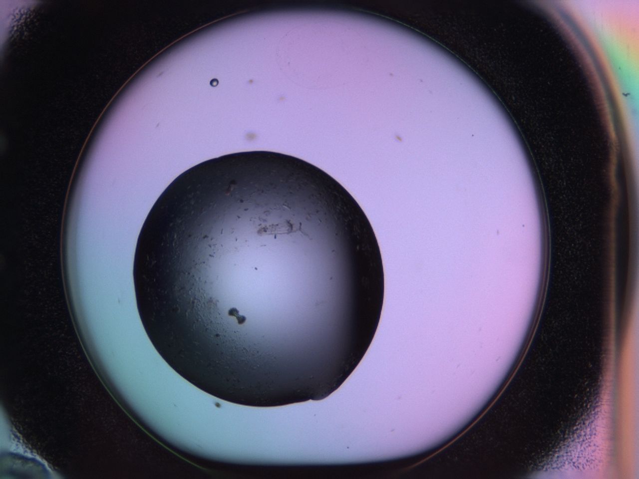 03ma_E10_ImagerDefaults_6.jpg