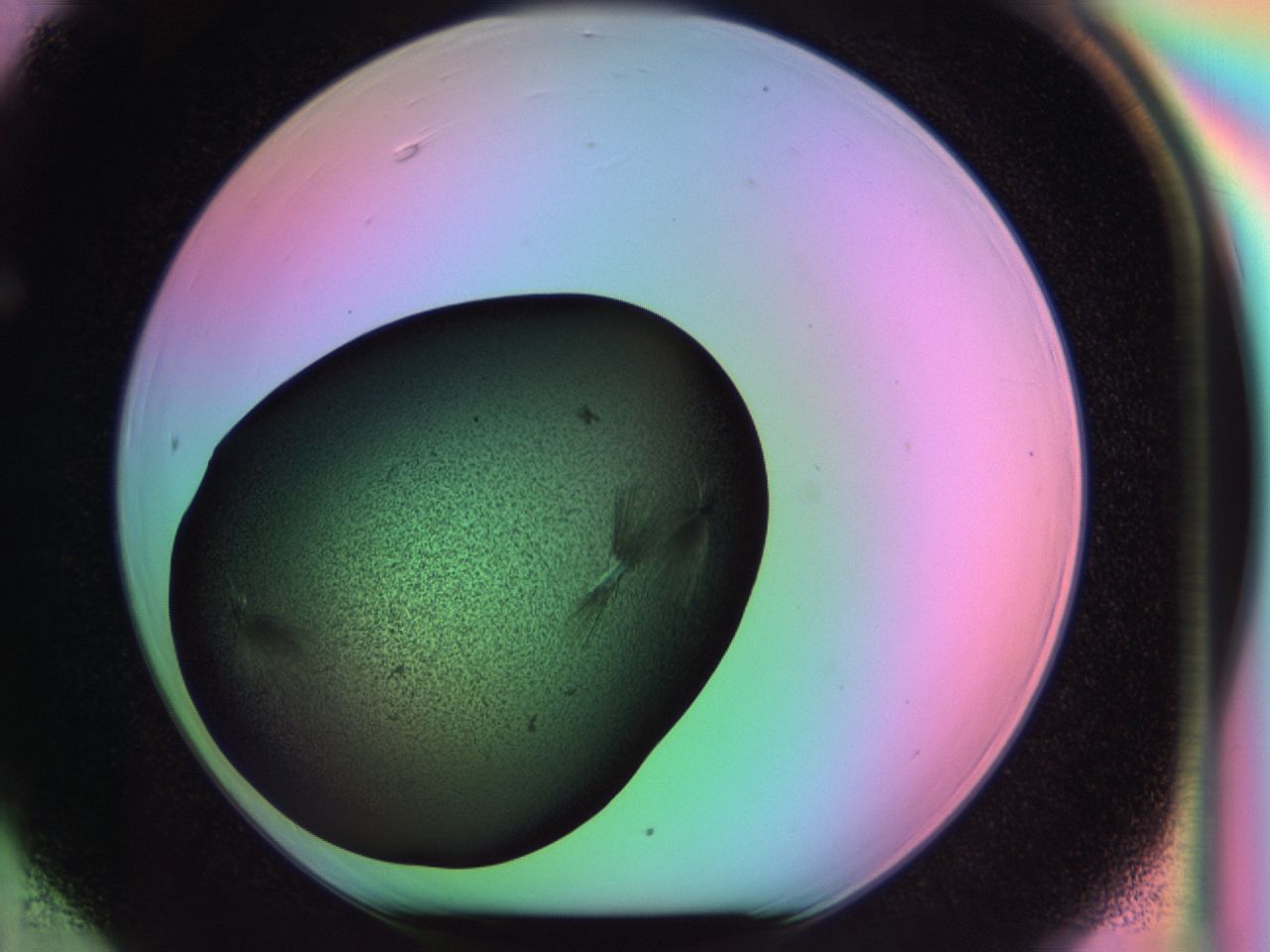 03ma_F6_ImagerDefaults_6.jpg