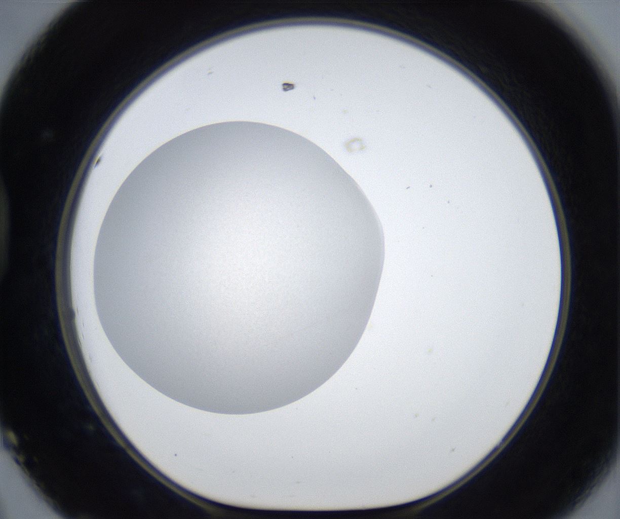 folderID667_plateID2667_batchID13519_wellNum44_profileID1_d1_r215890_ef.jpg