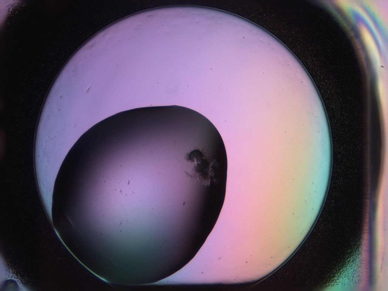 03ma_G11_ImagerDefaults_6.jpg