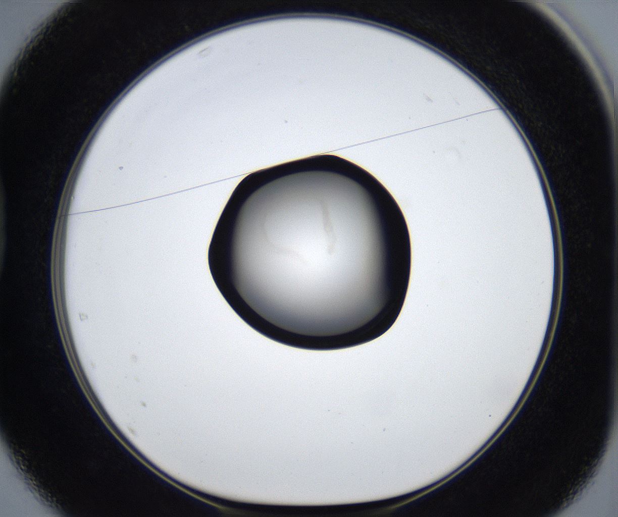 folderID669_plateID2669_batchID13522_wellNum37_profileID1_d1_r215979_ef.jpg