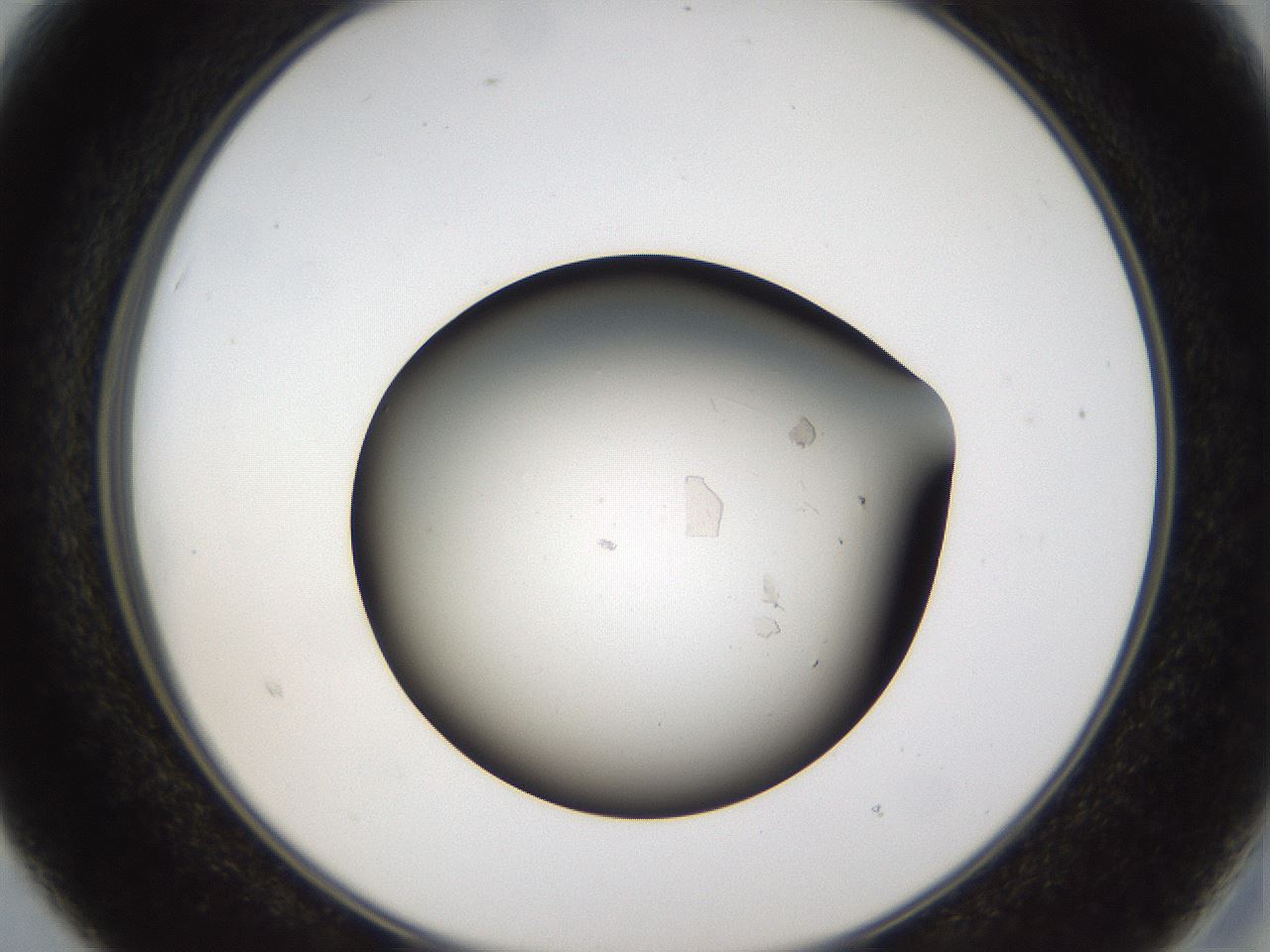 folderID66_plateID1066_batchID2588_wellNum15_profileID1_d2_r53586_ef.jpg