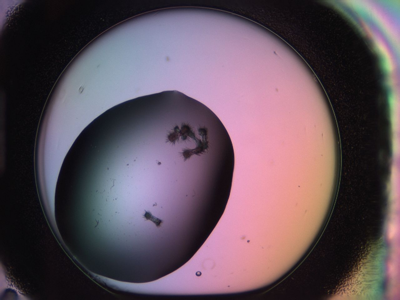 03ma_H11_ImagerDefaults_6.jpg