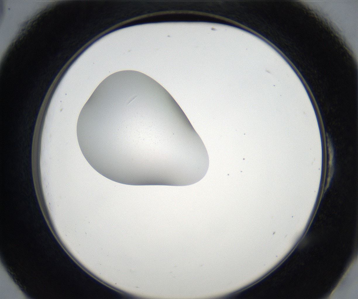 folderID66_plateID2066_batchID9496_wellNum54_profileID1_d2_r141801_ef.jpg