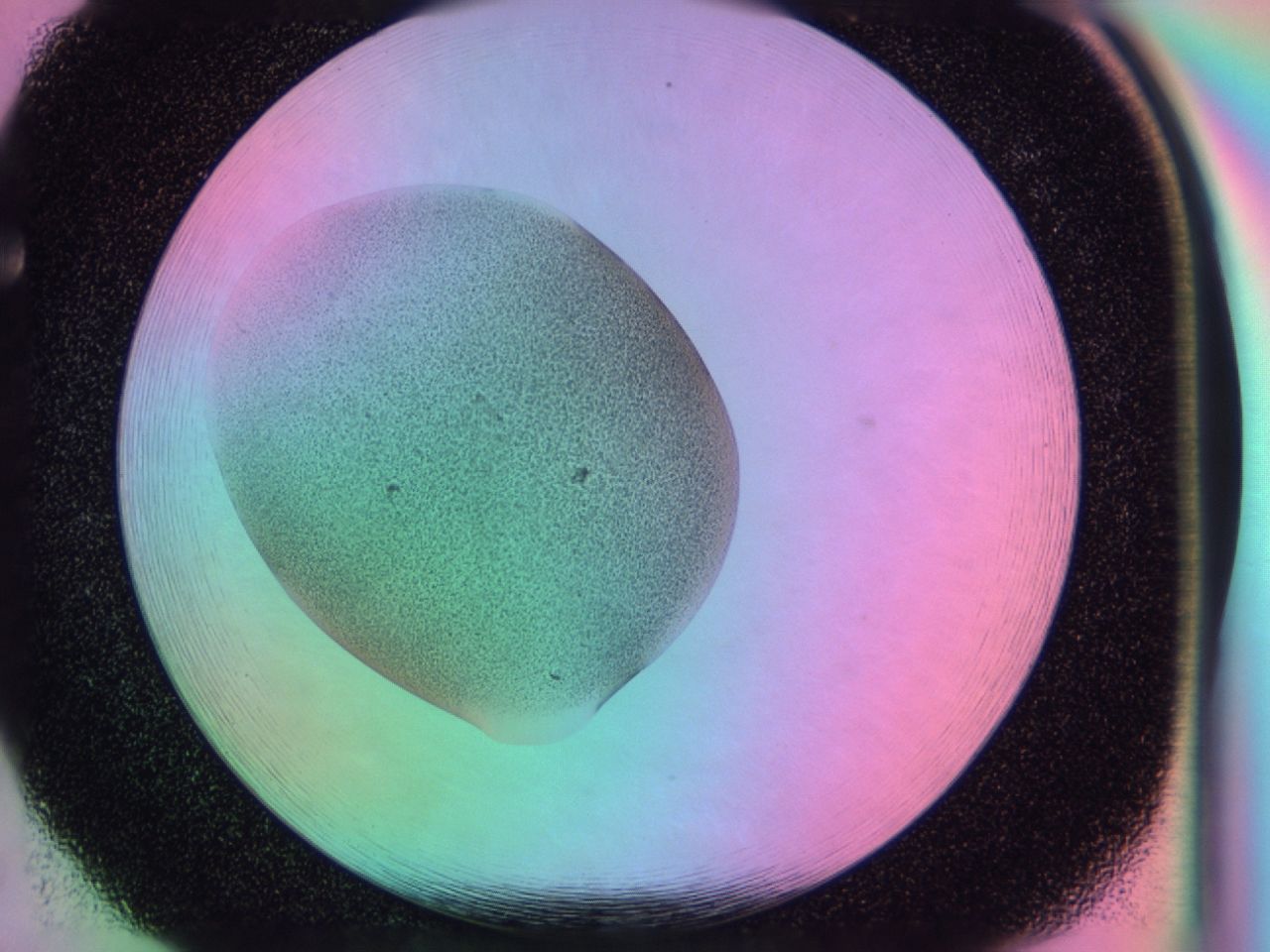 03mm_F5_ImagerDefaults_6.jpg