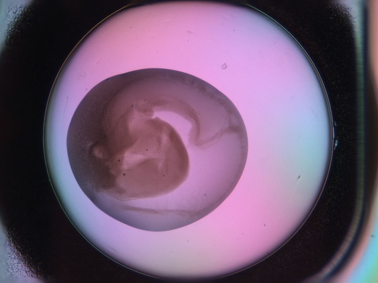 03mp_A1_ImagerDefaults_6.jpg