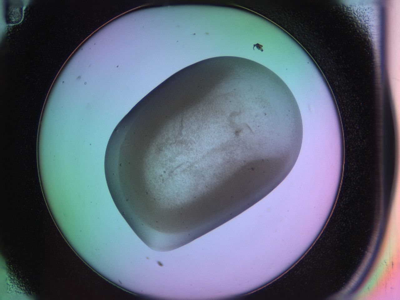 03mt_C11_ImagerDefaults_6.jpg