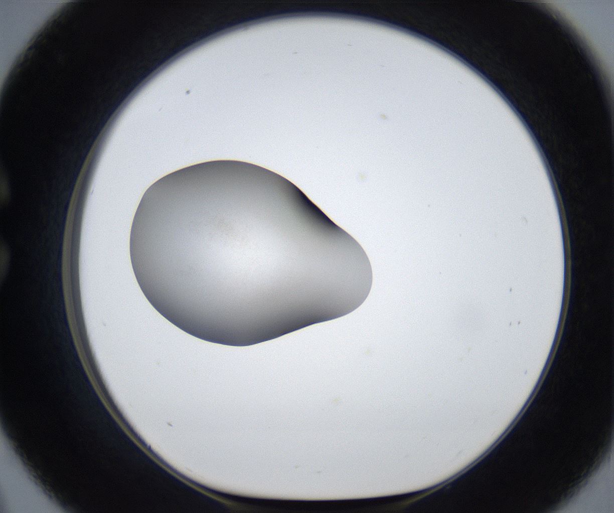 folderID671_plateID2671_batchID13524_wellNum33_profileID1_d1_r216071_ef.jpg