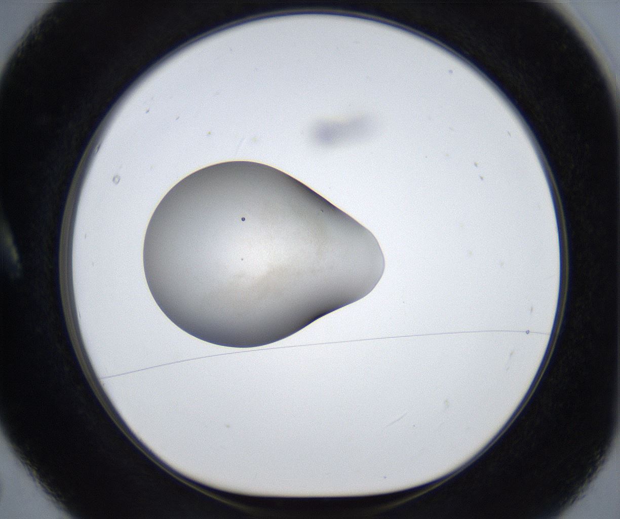 folderID671_plateID2671_batchID13524_wellNum5_profileID1_d1_r216043_ef.jpg