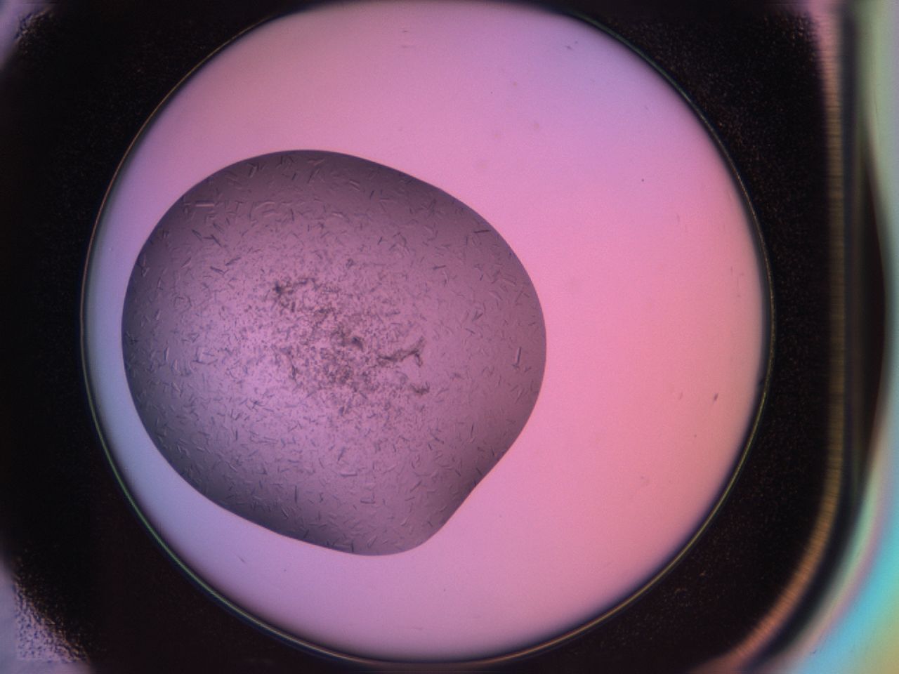 03mt_D3_ImagerDefaults_8.jpg