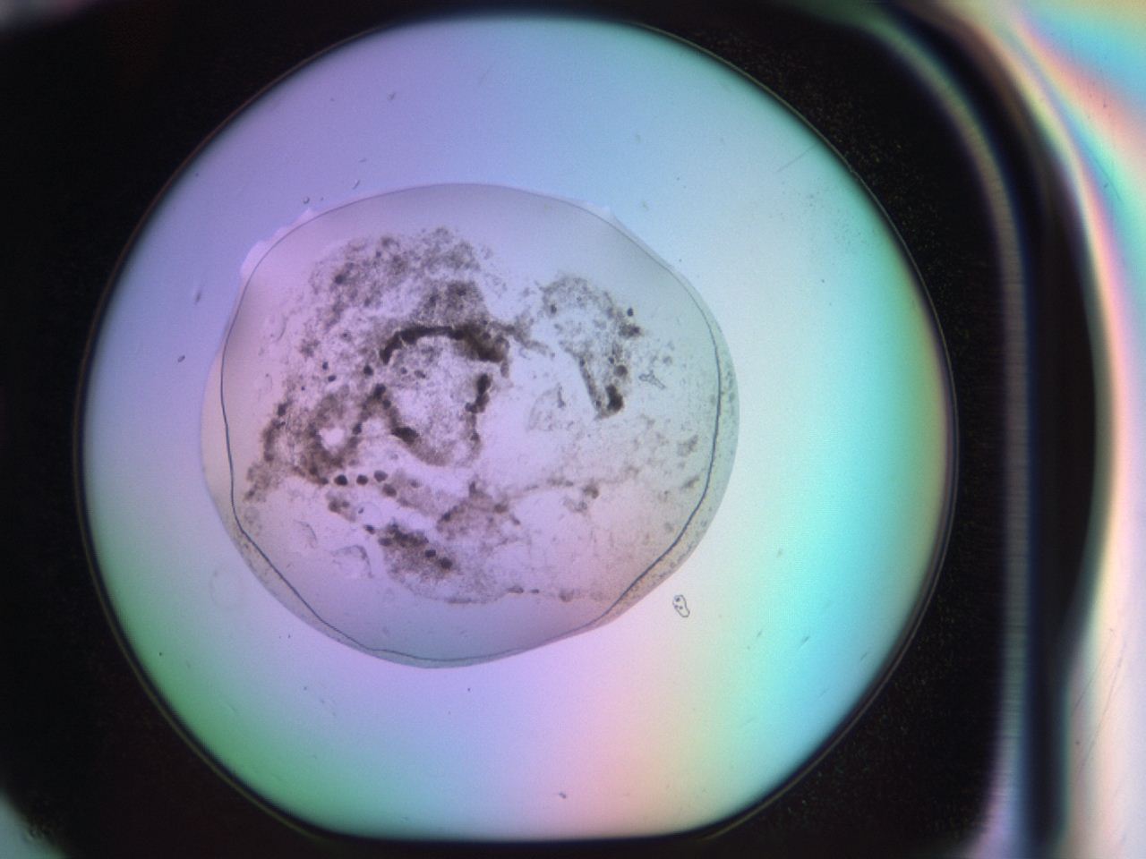03mv_G6_ImagerDefaults_9.jpg