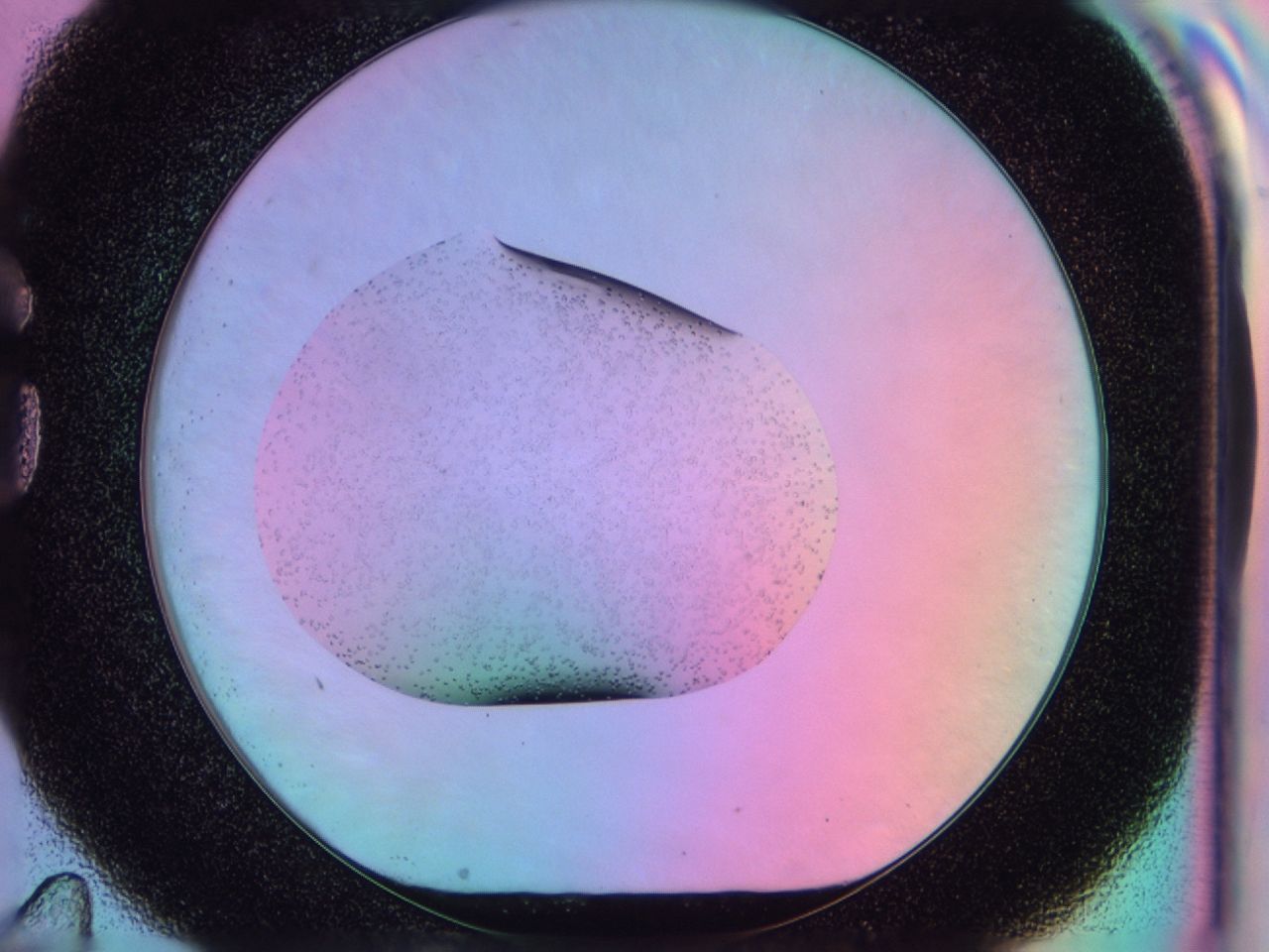 03nq_G11_ImagerDefaults_8.jpg
