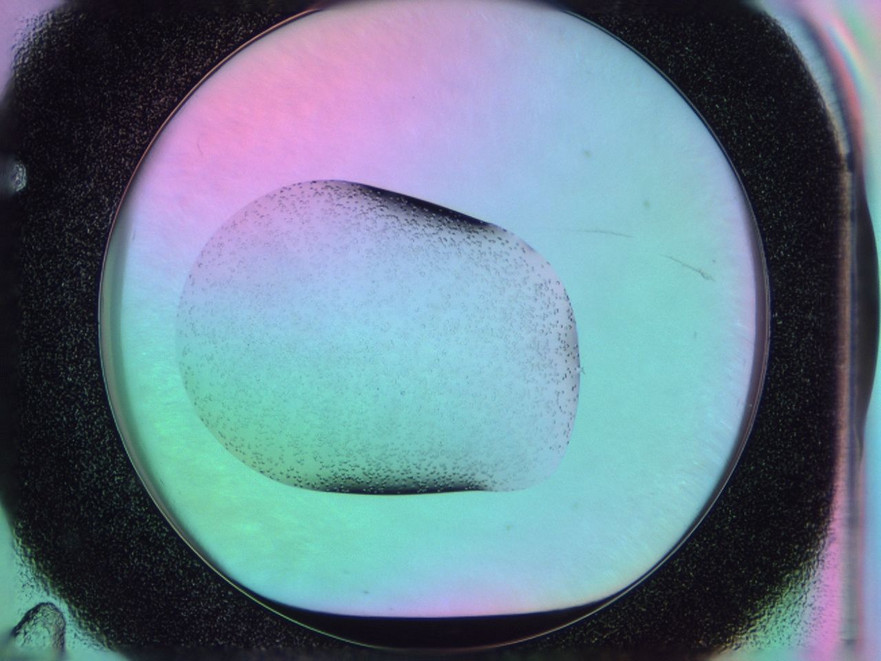 03nq_F11_ImagerDefaults_8.jpg