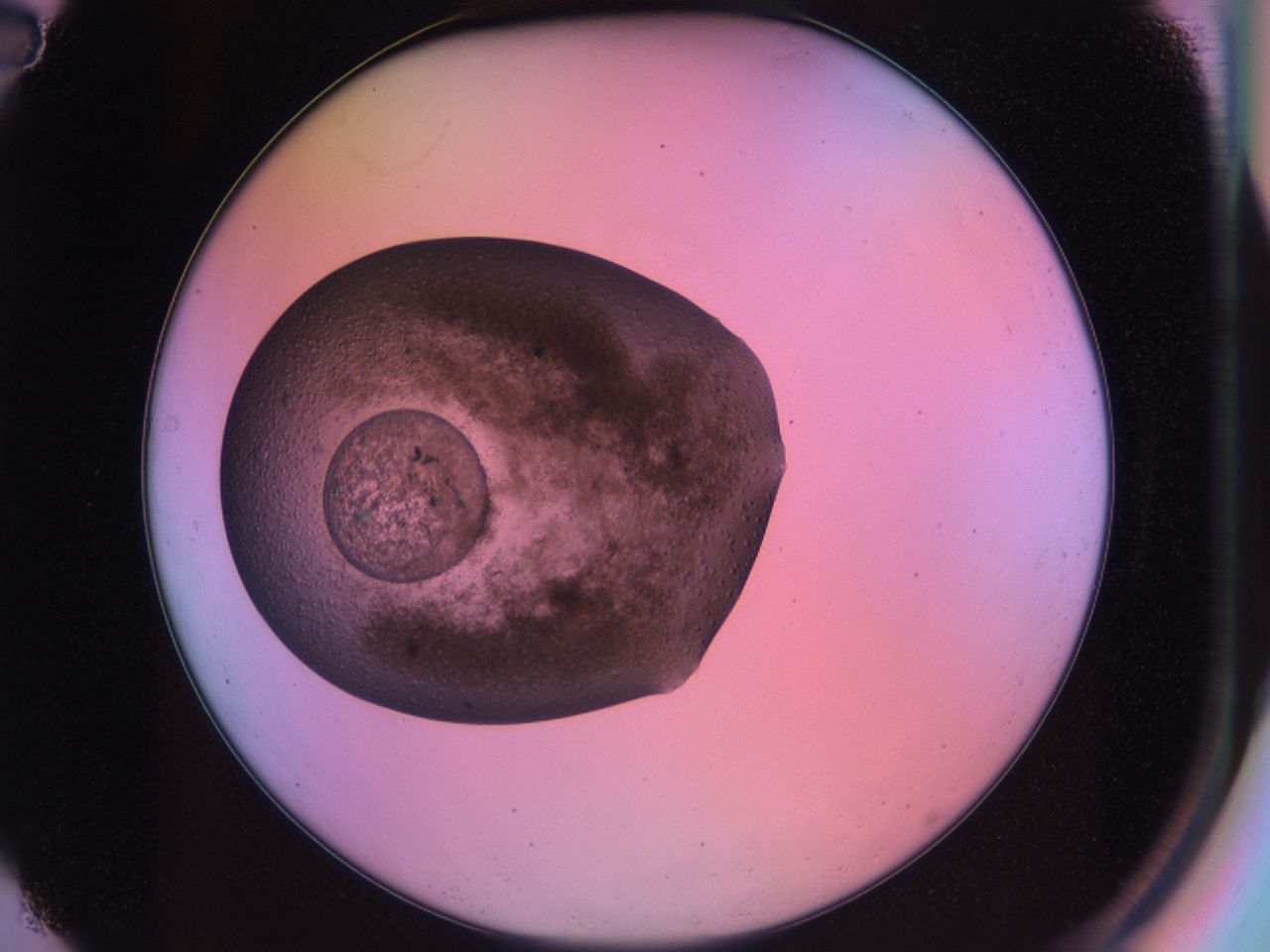 03o2_A2_ImagerDefaults_6.jpg