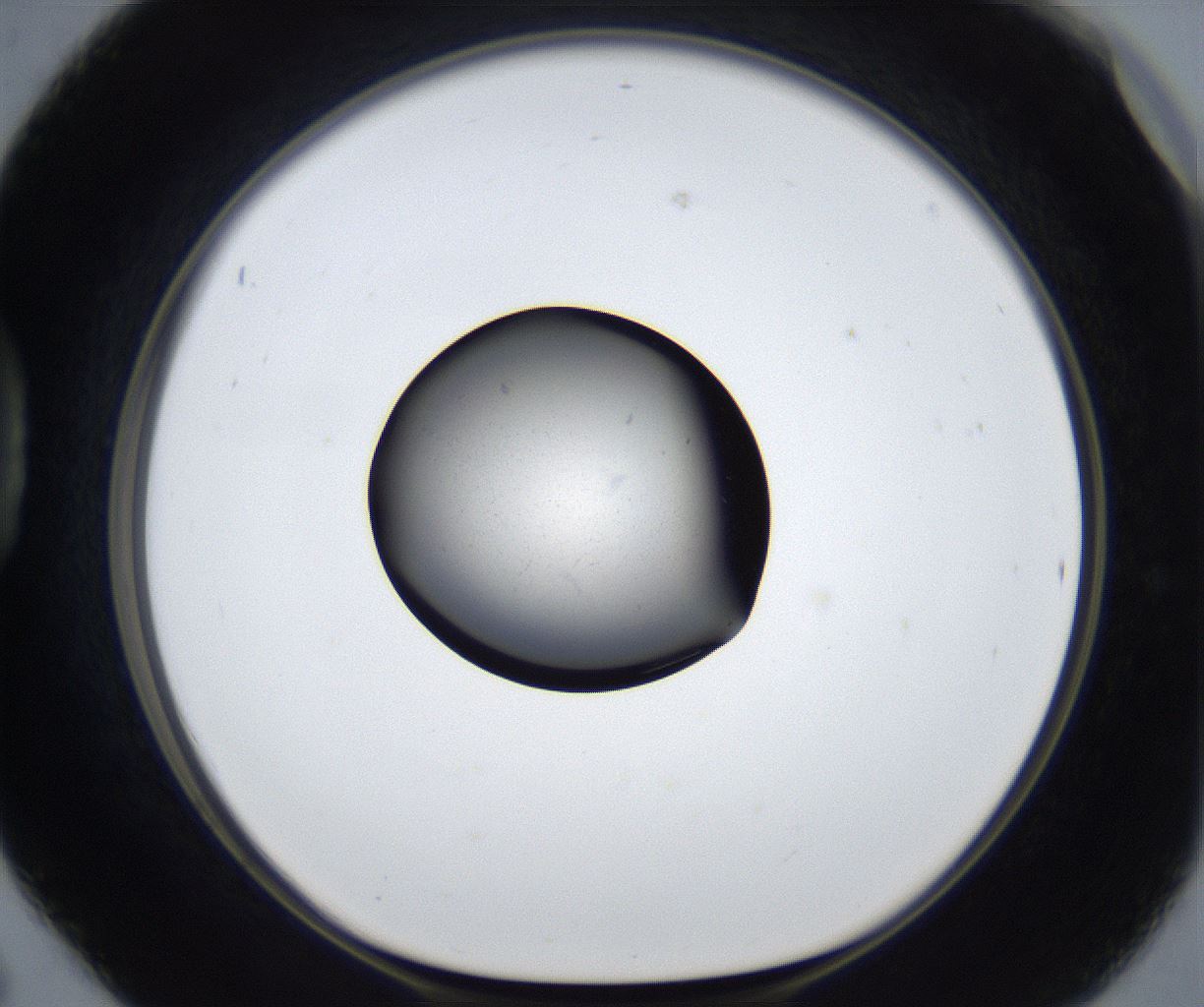 folderID675_plateID2675_batchID13532_wellNum42_profileID1_d1_r216272_ef.jpg