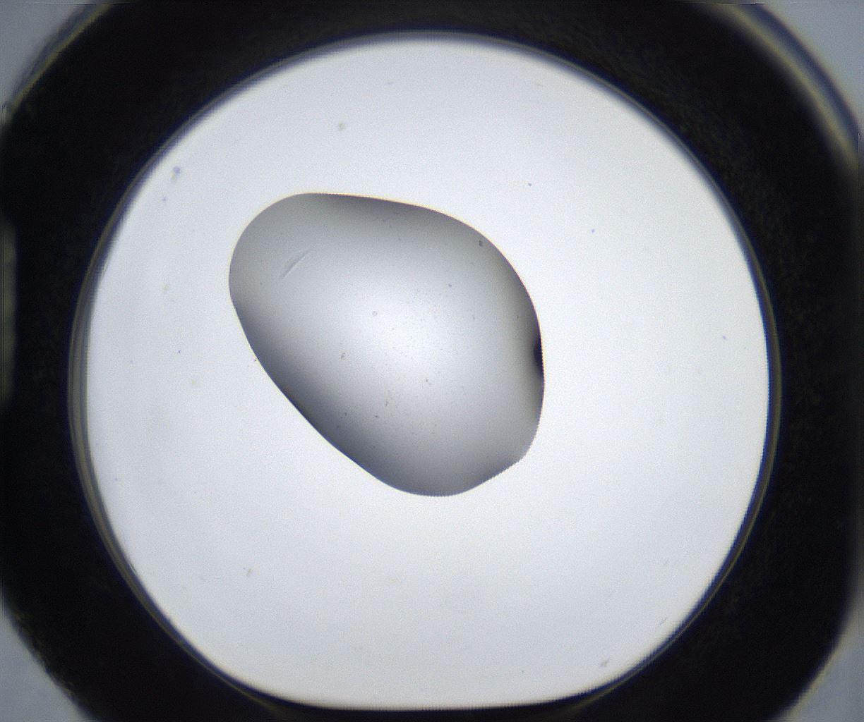 folderID675_plateID2675_batchID13532_wellNum88_profileID1_d1_r216318_ef.jpg