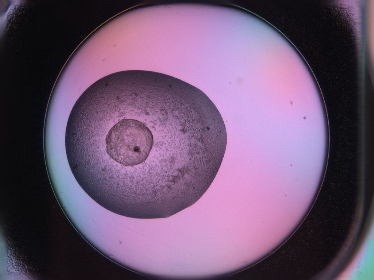 03o2_A3_ImagerDefaults_6.jpg