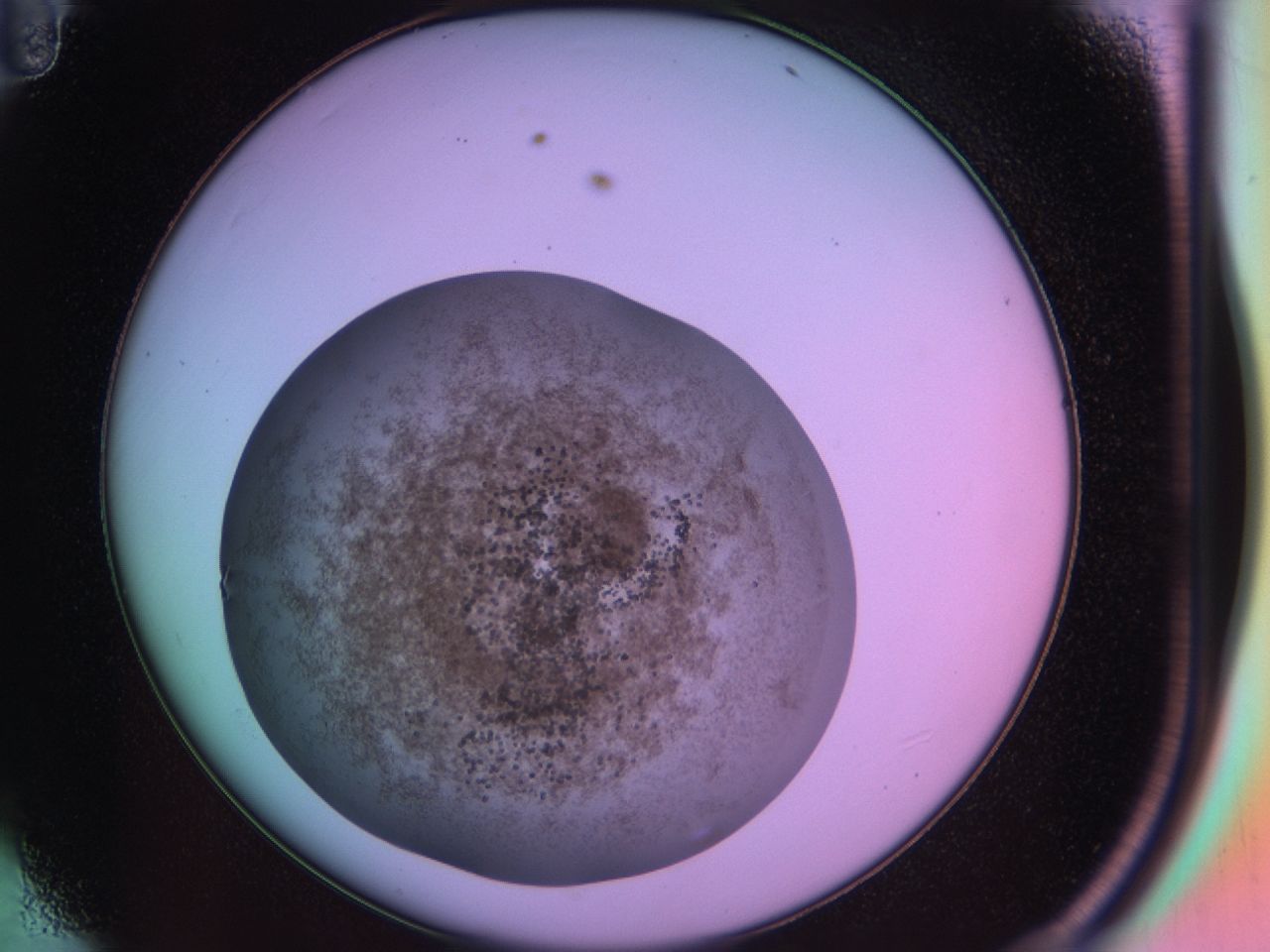 03o4_D11_ImagerDefaults_6.jpg