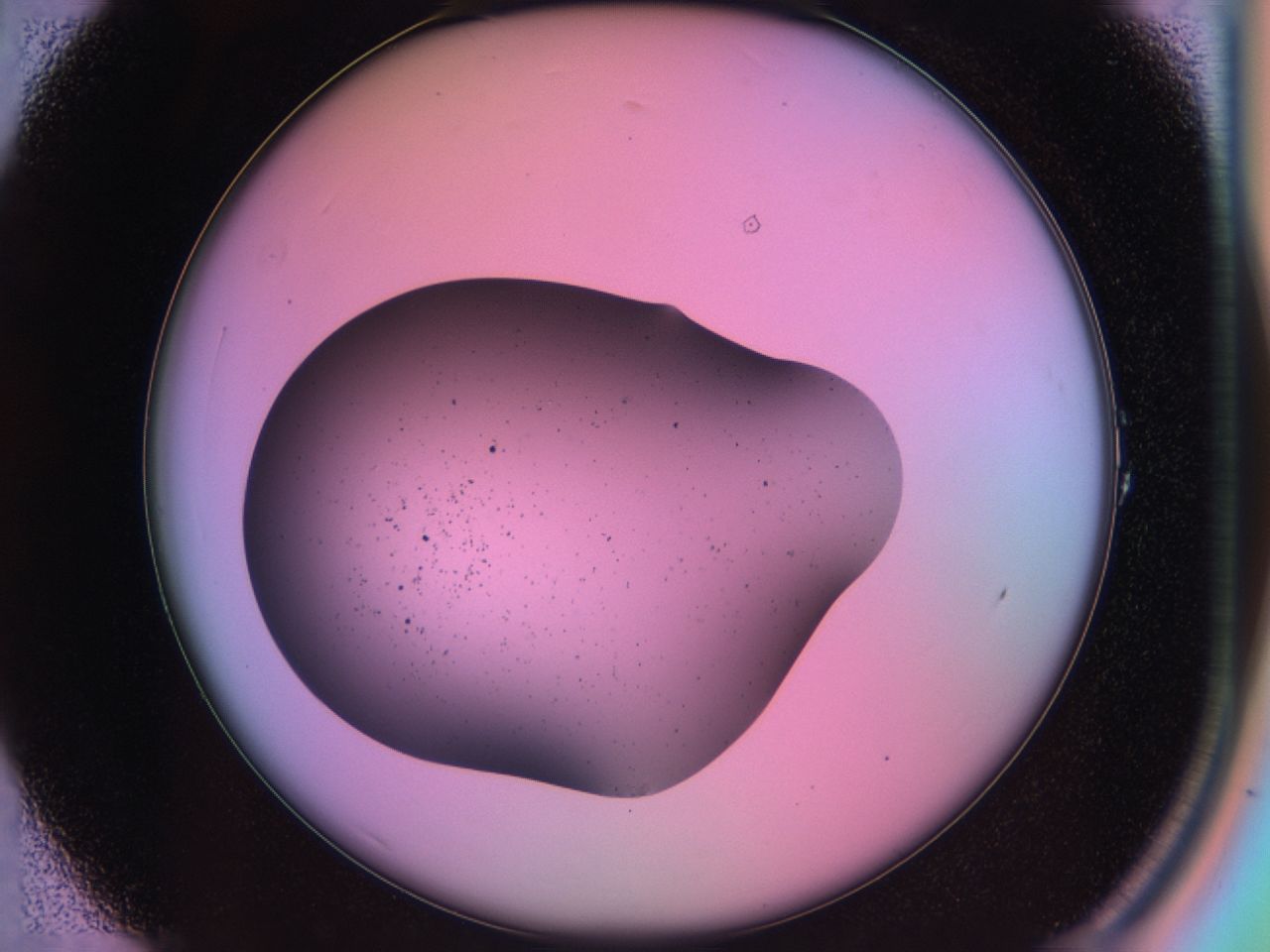 03o4_A1_ImagerDefaults_6.jpg