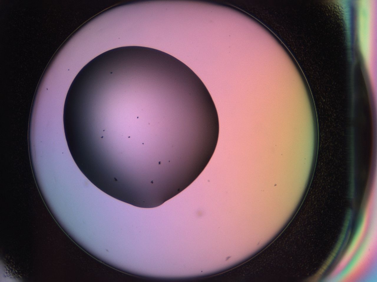 03o8_G7_ImagerDefaults_6.jpg