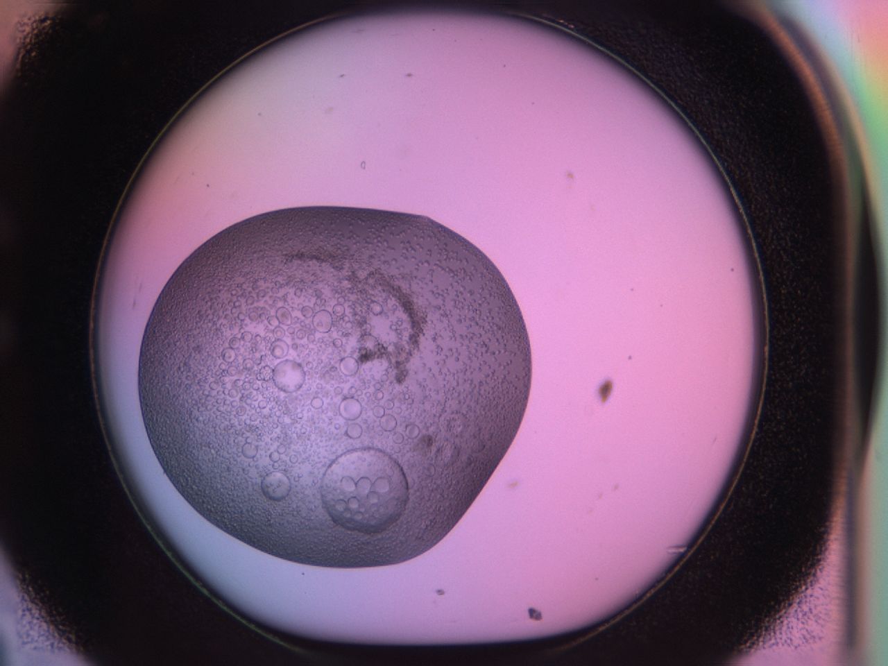03oa_C8_ImagerDefaults_6.jpg