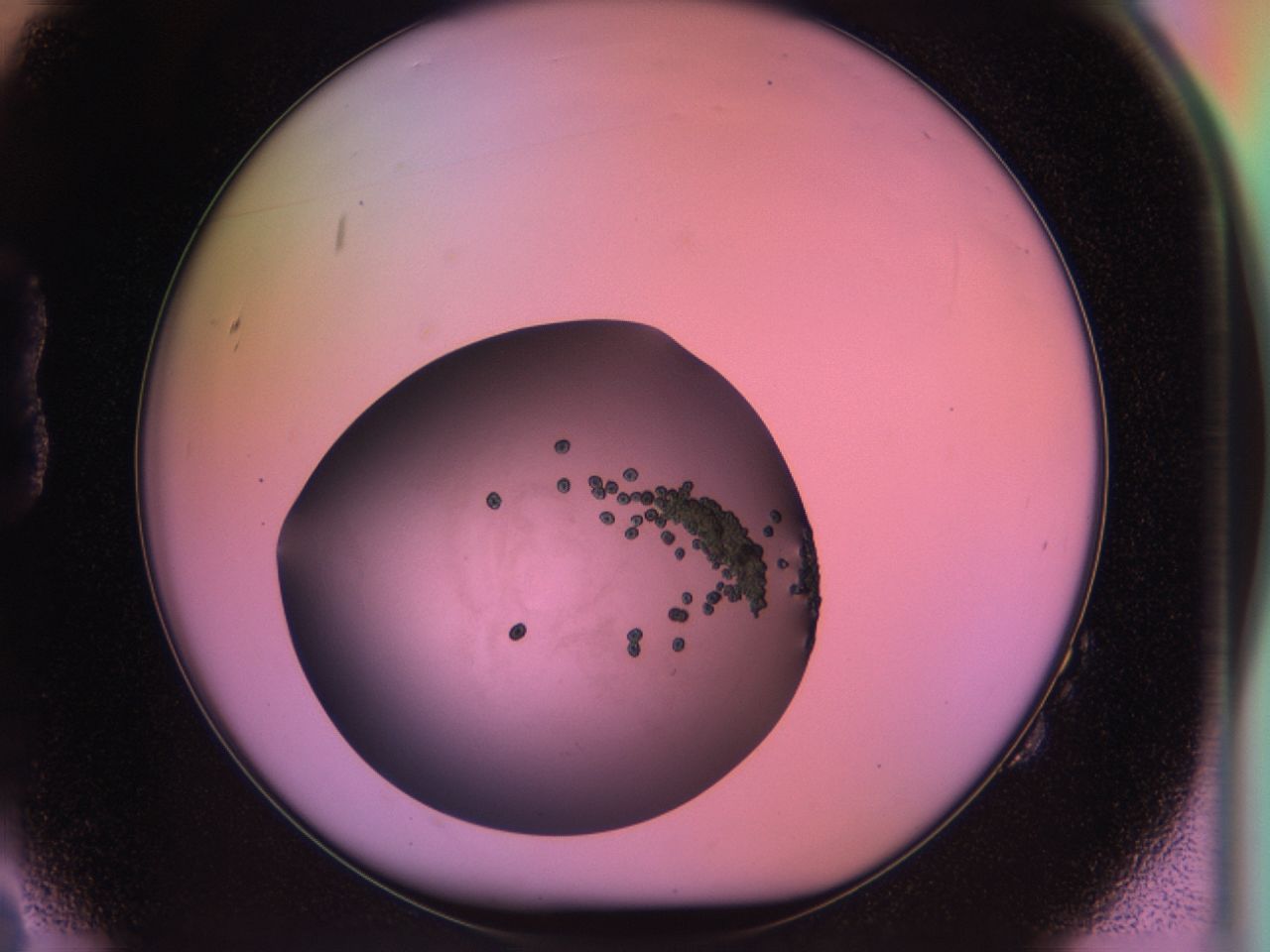 03oa_B2_ImagerDefaults_6.jpg