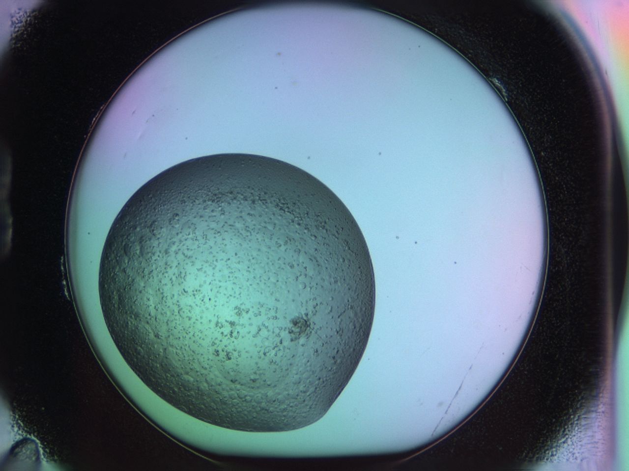 03oc_B11_ImagerDefaults_6.jpg