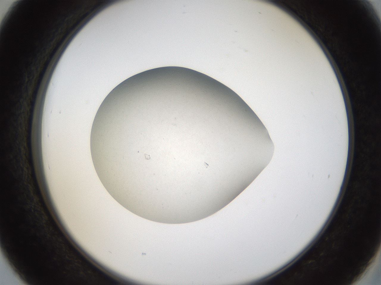 folderID67_plateID1067_batchID2590_wellNum39_profileID1_d2_r54018_ef.jpg