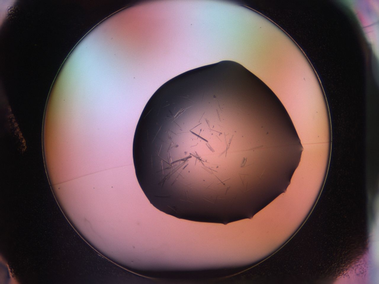 03om_A2_ImagerDefaults_7.jpg