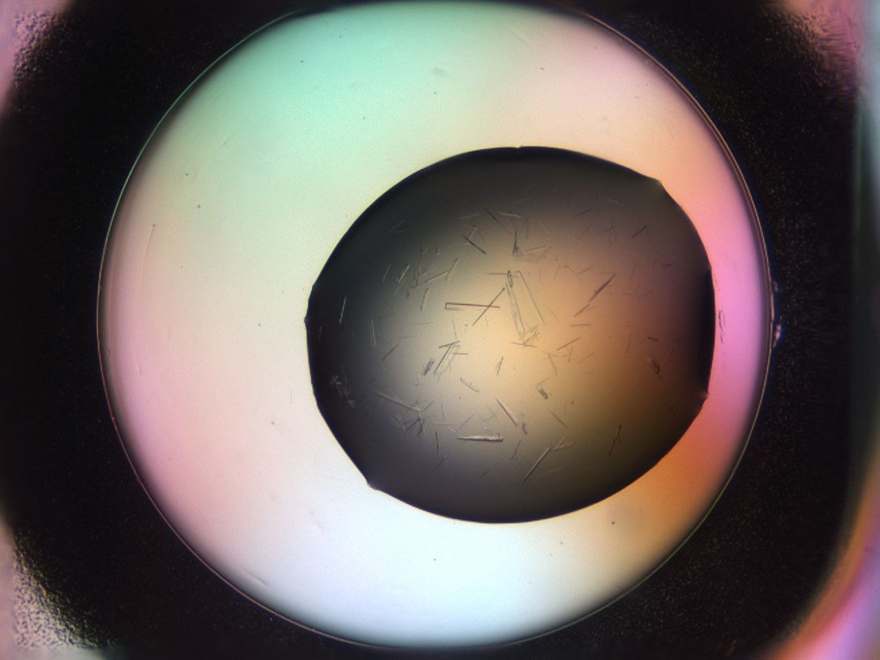 03om_A1_ImagerDefaults_6.jpg