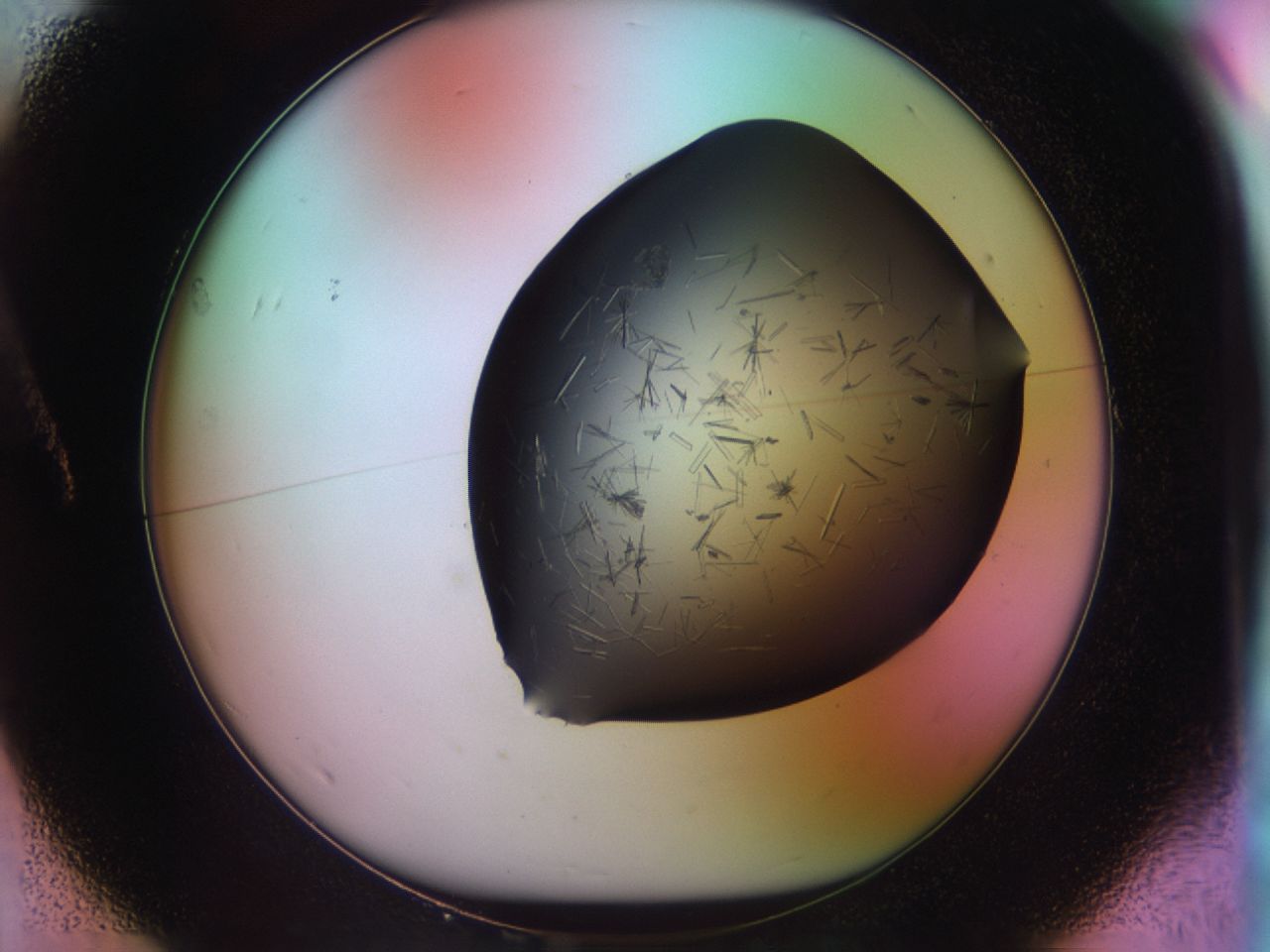 03om_A1_ImagerDefaults_7.jpg