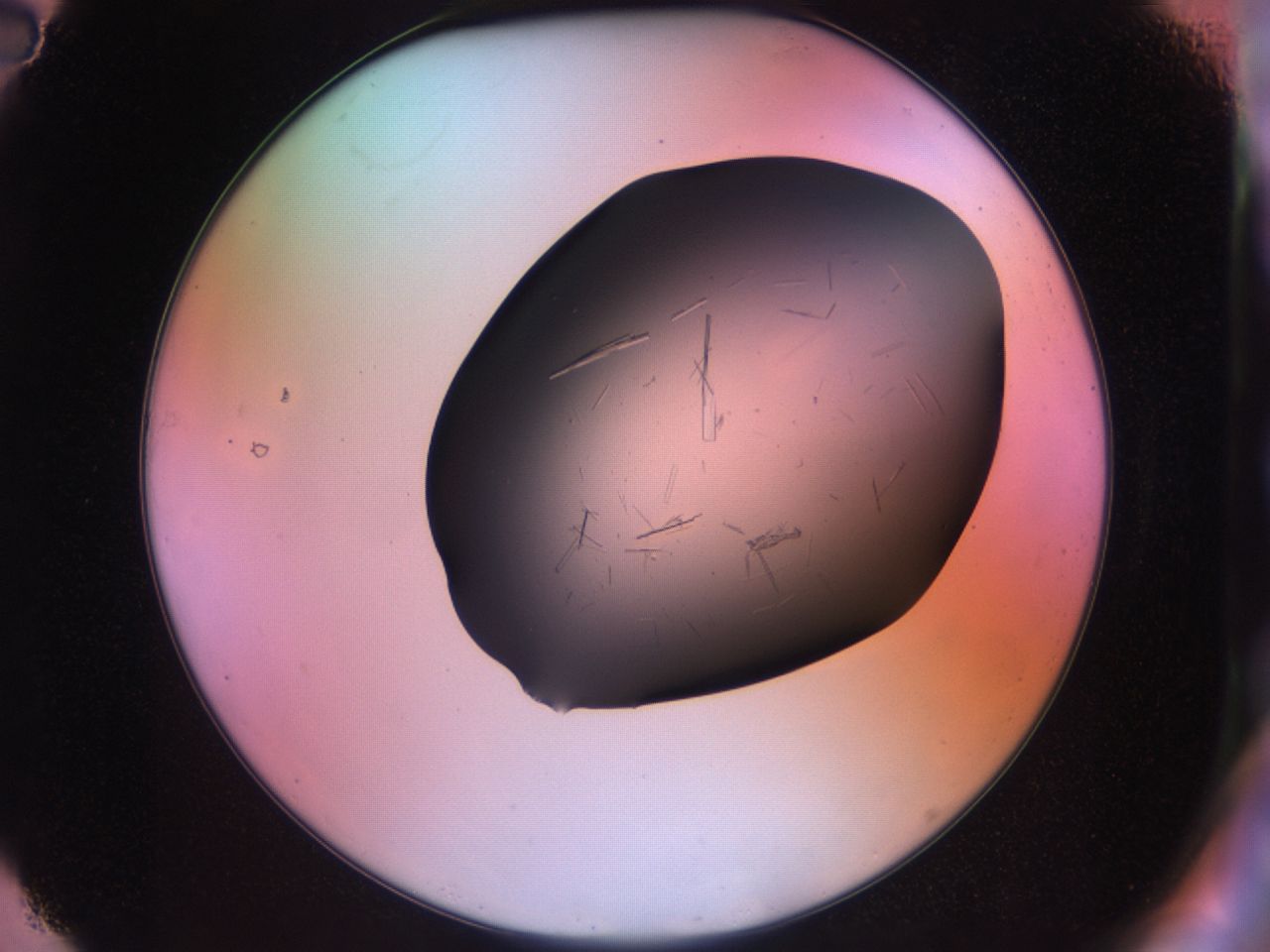 03om_A2_ImagerDefaults_6.jpg