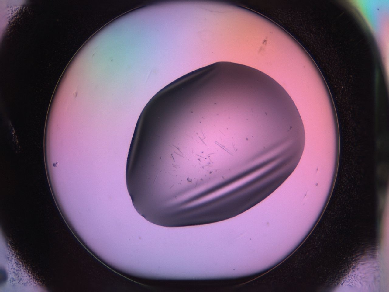 03om_A5_ImagerDefaults_6.jpg