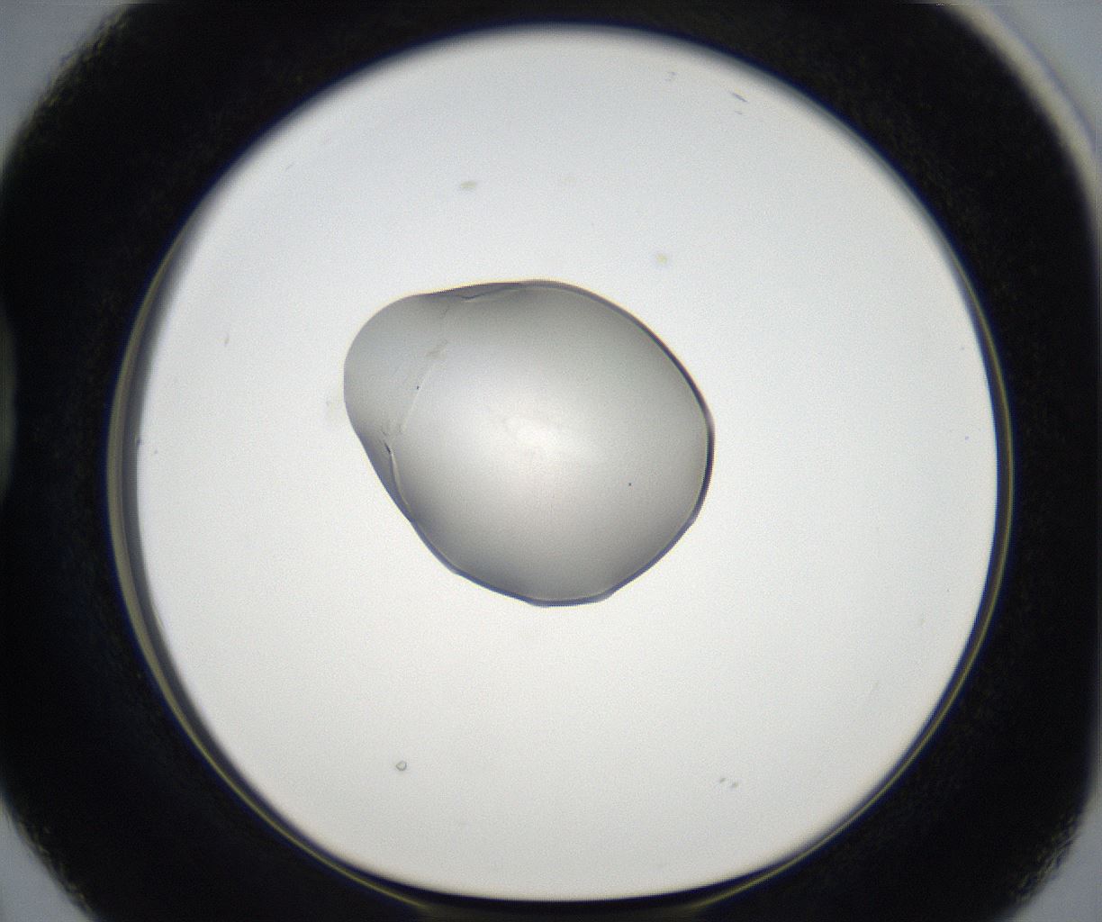 folderID67_plateID2067_batchID9495_wellNum38_profileID1_d1_r141624_ef.jpg