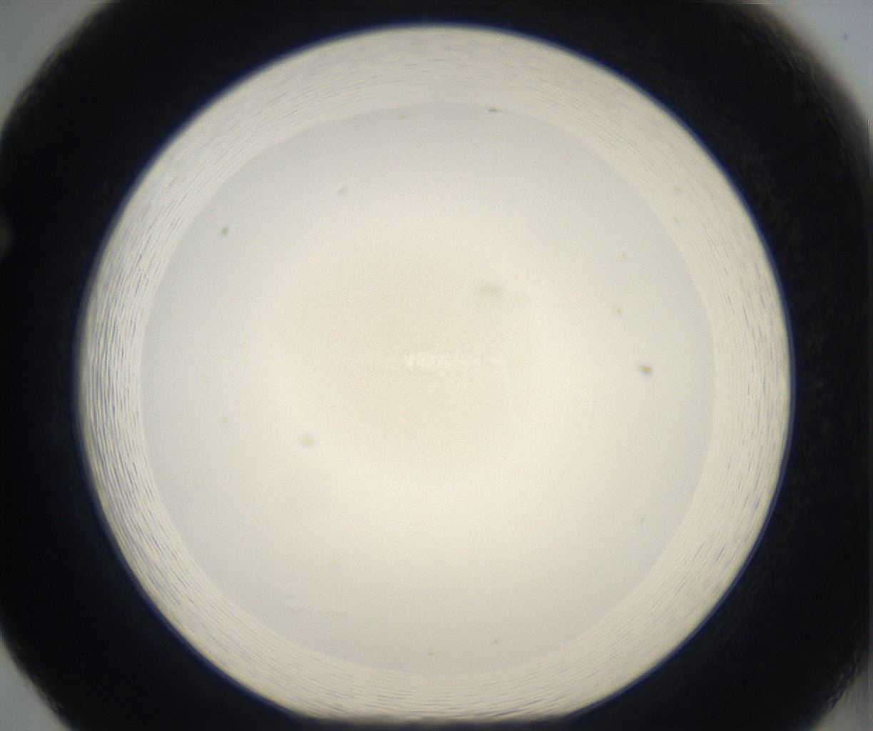 folderID67_plateID2067_batchID9495_wellNum65_profileID1_d1_r141678_ef.jpg