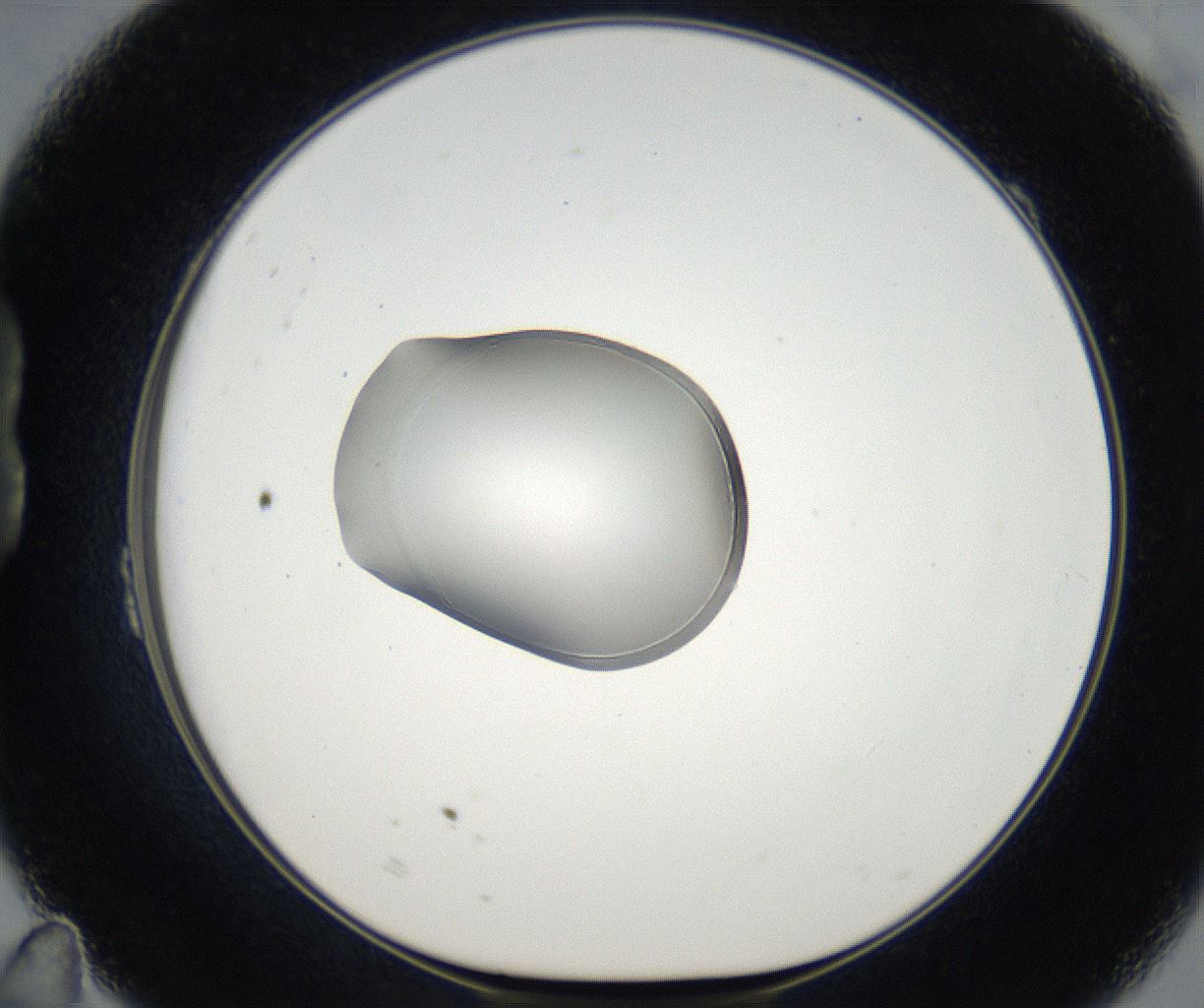 folderID67_plateID2067_batchID9495_wellNum23_profileID1_d1_r141594_ef.jpg