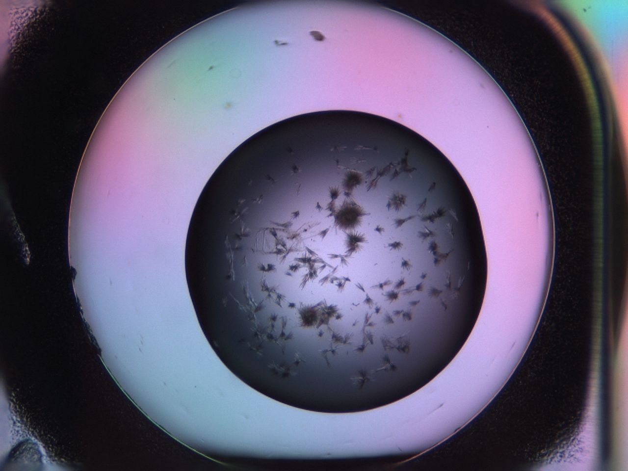 03om_A11_ImagerDefaults_6.jpg