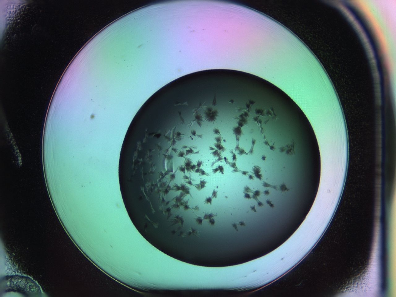 03om_A12_ImagerDefaults_6.jpg